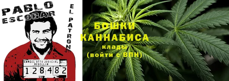 Каннабис White Widow  купить наркоту  Светлоград 